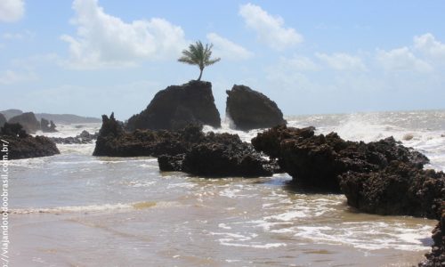 Conde - Praia de Tambaba