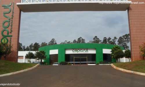 Naviraí - Cooperativa Agrícola Sul Matogrossense
